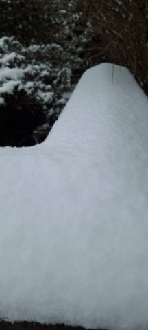 Schnee